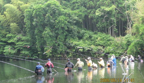 鮫川で一斉に上流に向けて竿を出している写真