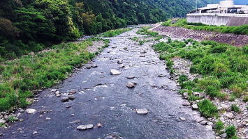 早川の浅瀬の写真