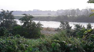 神通川の岩木は、増水そして濁りの写真