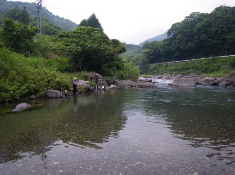 美しい流れの興津川の写真