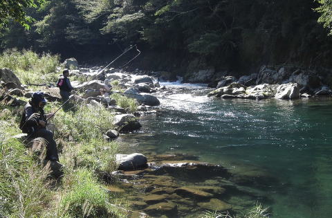 狩野川毛バリ釣り最上流、天城の吊り橋上で竿をだす会員の写真