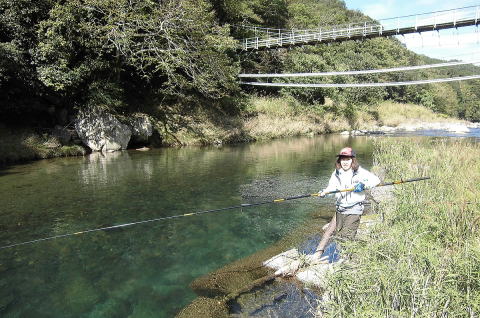 吊り橋したで竿を出す加藤幸子会員の写真